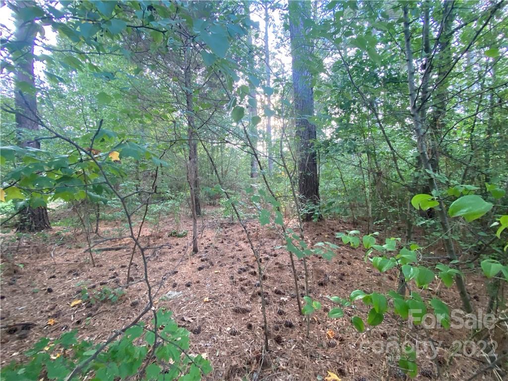 1613 Nottingham Drive Newton NC 28658