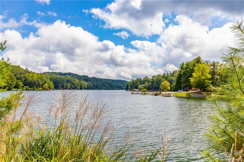 96 Ulvda Court Brevard NC 28712