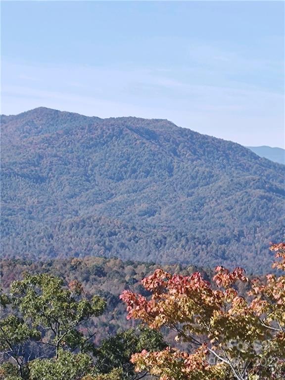 Weaverville & Asheville NC Homes for Sale Western NC Real Estate