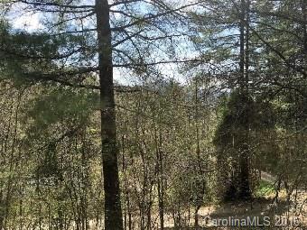 136 Just A Mere Lane Burnsville NC 28714