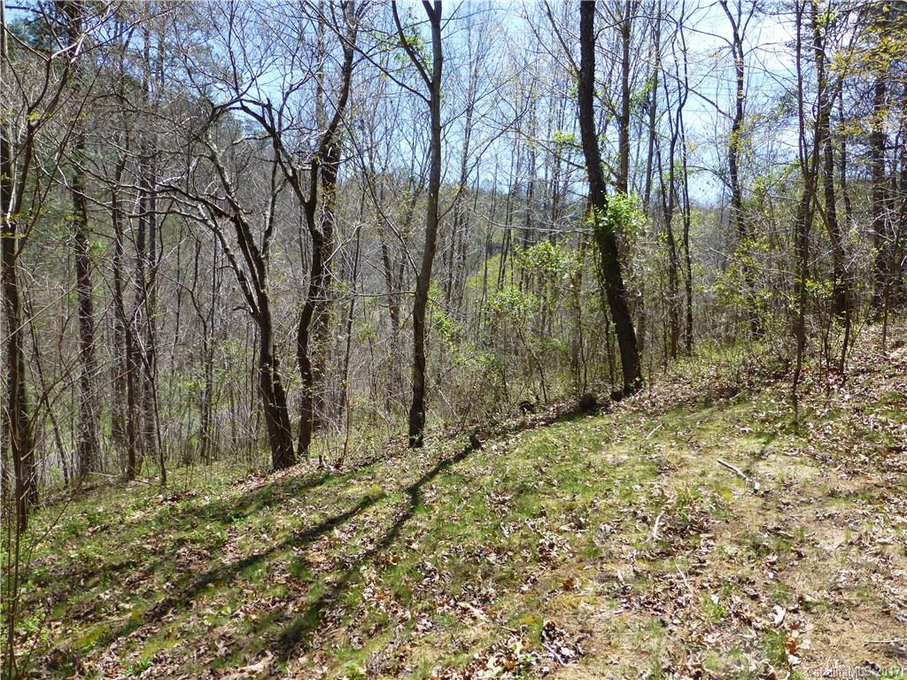 112 Flynn Branch Road Asheville NC 28804
