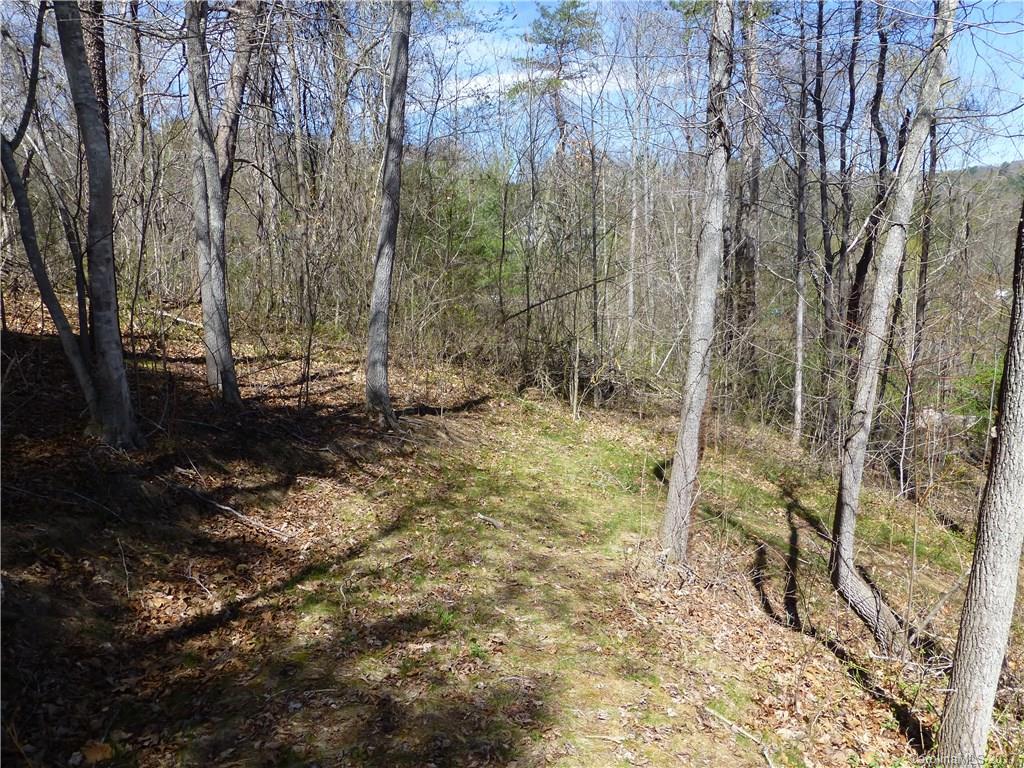 112 Flynn Branch Road Asheville NC 28804
