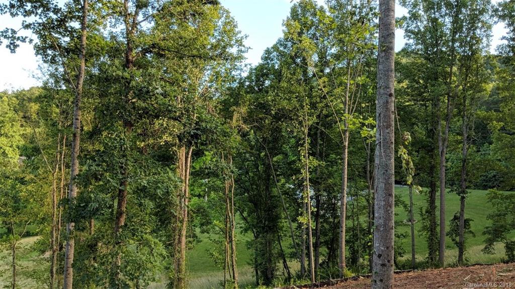 3889 New Leicester Highway Leicester NC 28748