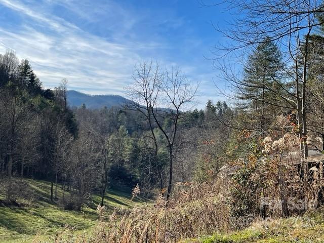 5111 Revere Road Marshall NC 28753