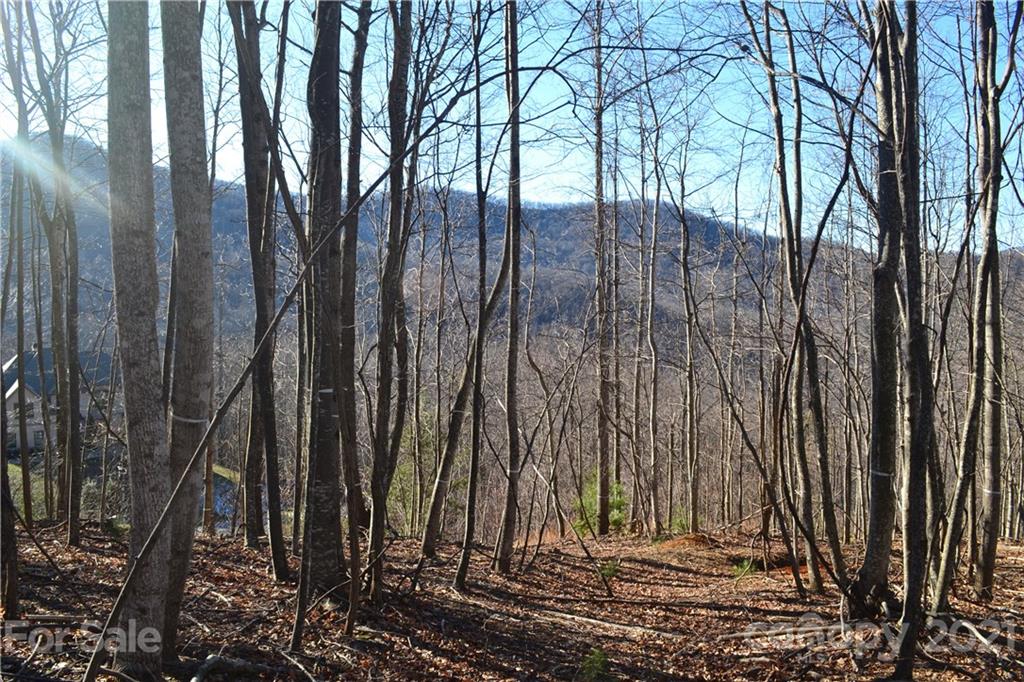 1305 Double Knob Drive Arden NC 28704