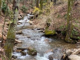 865 Dix Creek Road Canton NC 28716