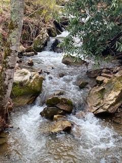 865 Dix Creek Road Canton NC 28716