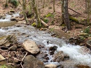 865 Dix Creek Road Canton NC 28716
