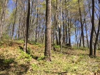 865 Dix Creek Road Canton NC 28716