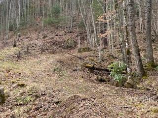 865 Dix Creek Road Canton NC 28716