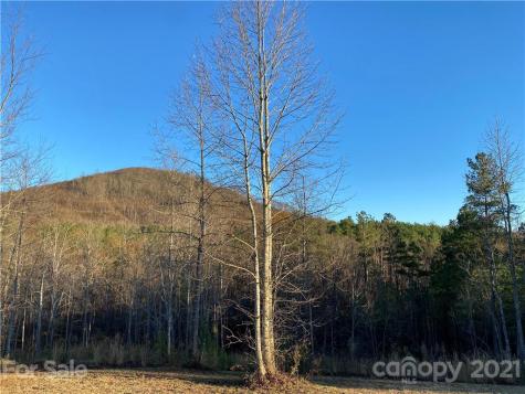 135 Pilot Ridge Road Nebo NC 28761
