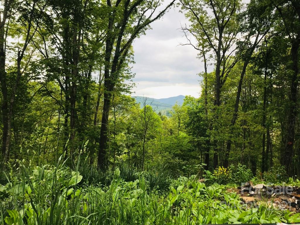 480 Lindera Lane Waynesville NC 28785
