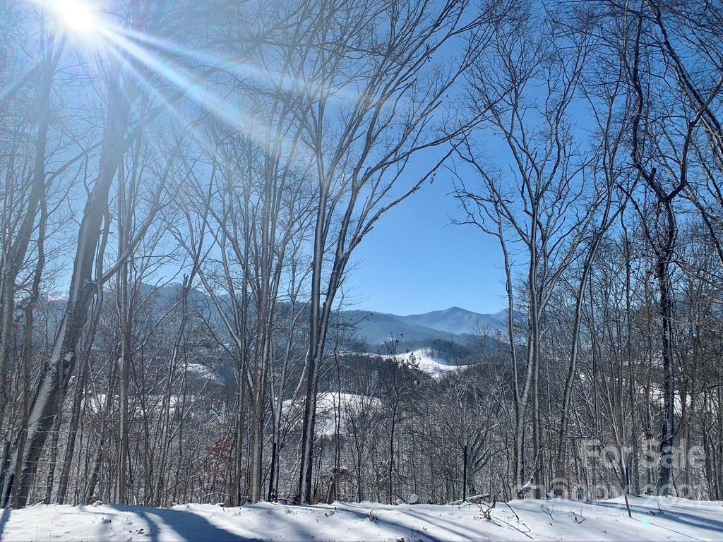 480 Lindera Lane Waynesville NC 28785