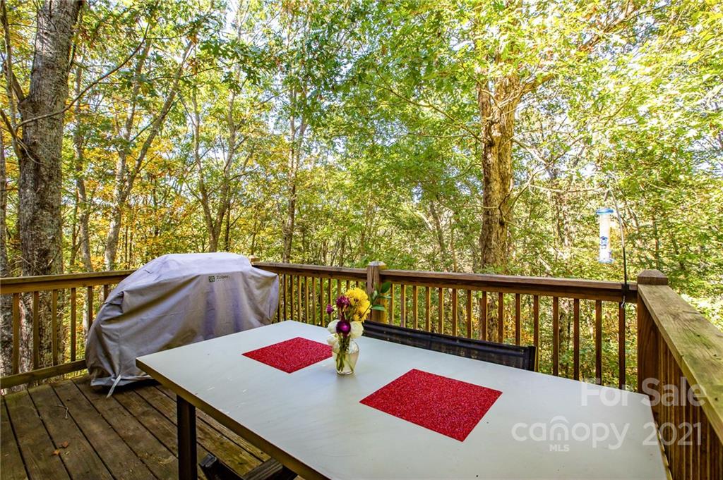 480 Lindera Lane Waynesville NC 28785