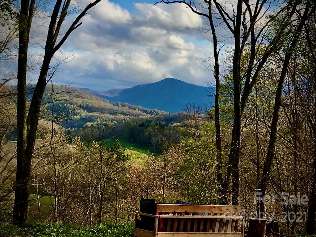 480 Lindera Lane Waynesville NC 28785