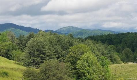 96 Old Turkey Creek Road Leicester NC 28748