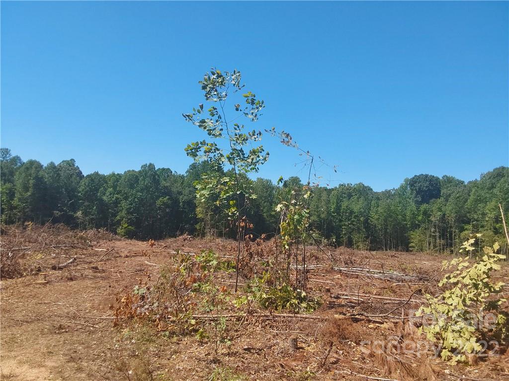 00 Requa Road Cherryville NC 28021