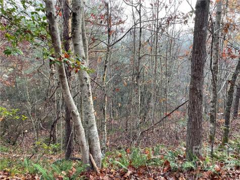 Lot 43 Kimiko Lane Balsam Grove NC 28708