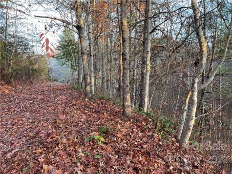 Lot 43 Kimiko Lane Balsam Grove NC 28708