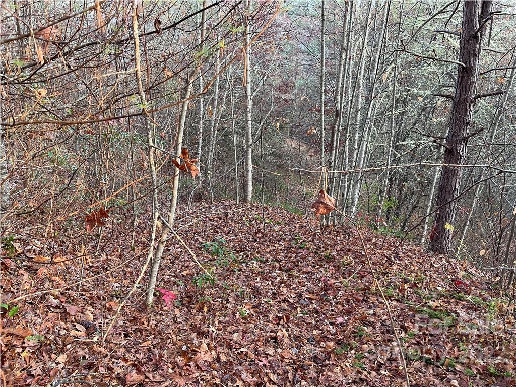 Lot 43 Kimiko Lane Balsam Grove NC 28708