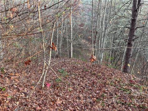 Lot 43 Kimiko Lane Balsam Grove NC 28708