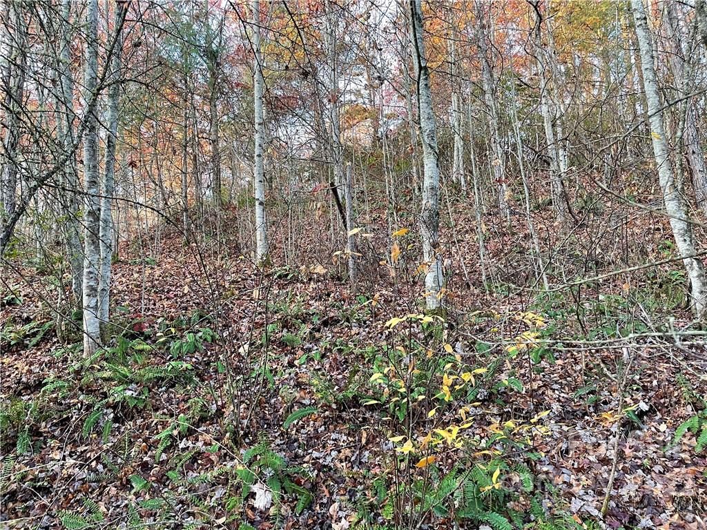 Lot 43 Kimiko Lane Balsam Grove NC 28708