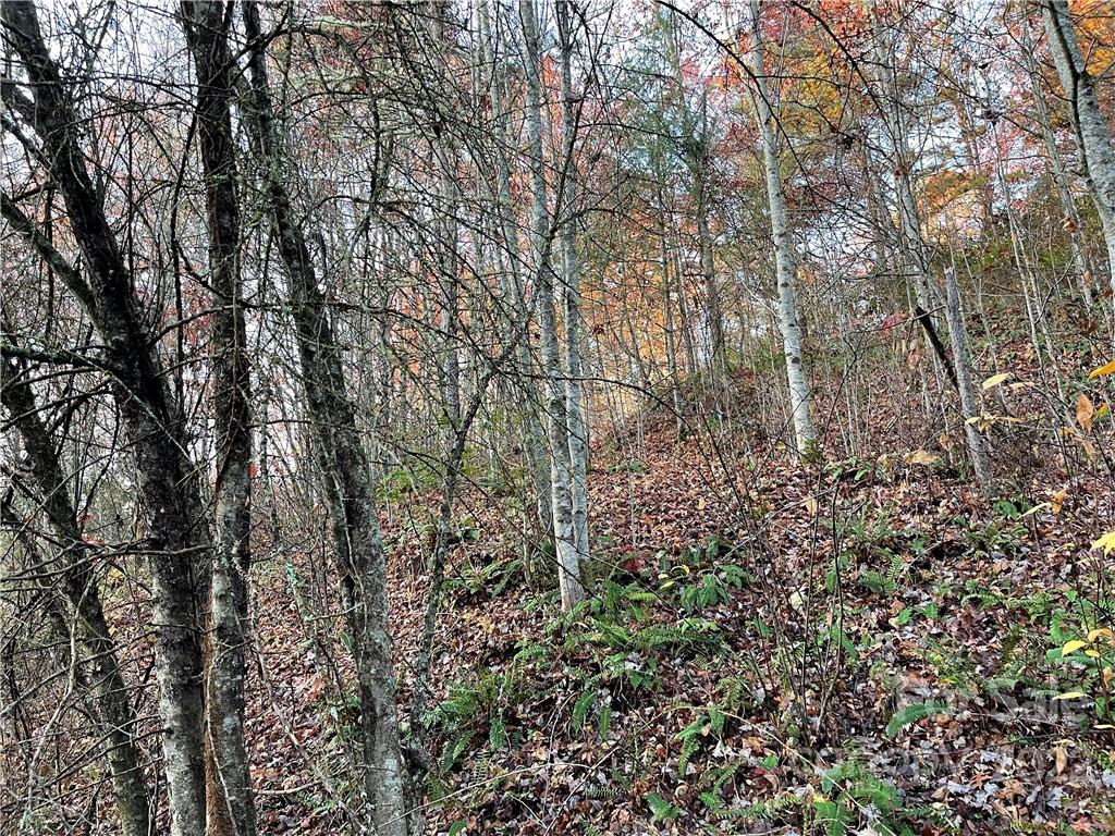 Lot 43 Kimiko Lane Balsam Grove NC 28708