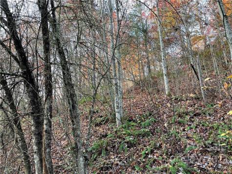 Lot 43 Kimiko Lane Balsam Grove NC 28708