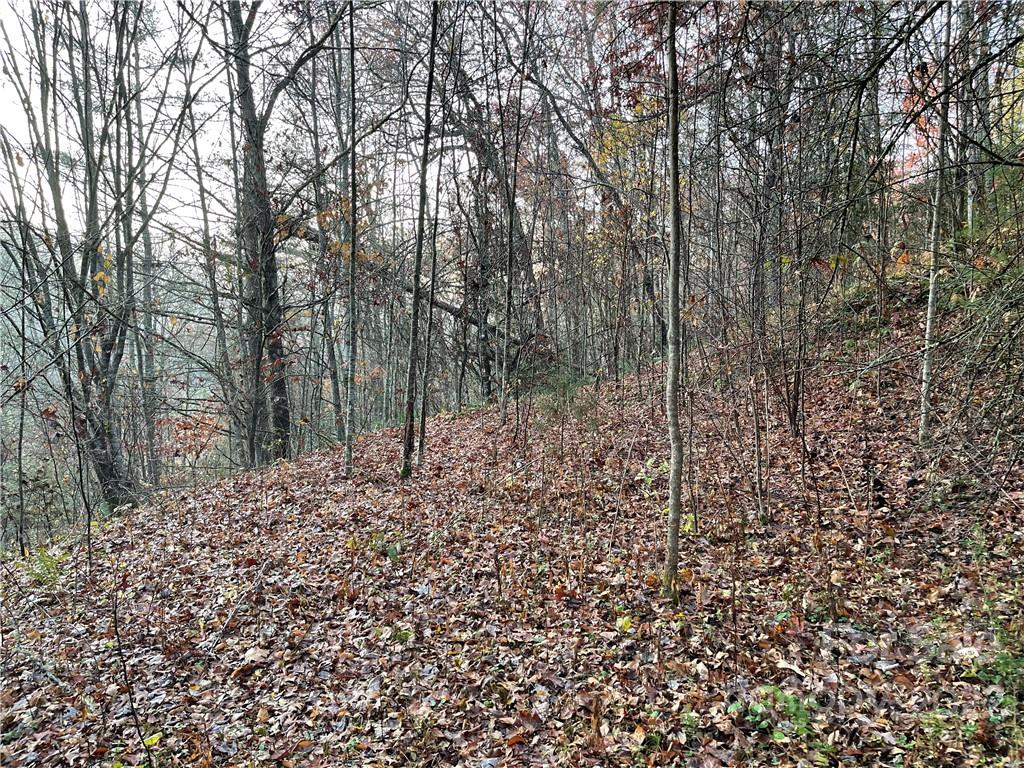 Lot 43 Kimiko Lane Balsam Grove NC 28708
