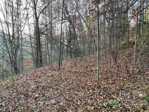 Lot 43 Kimiko Lane Balsam Grove NC 28708