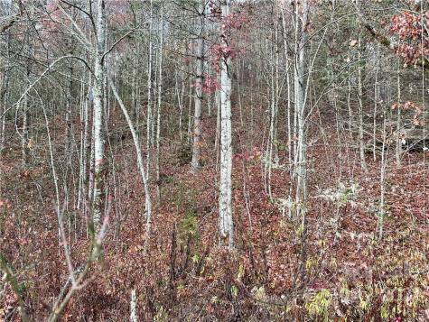 Lot 43 Kimiko Lane Balsam Grove NC 28708