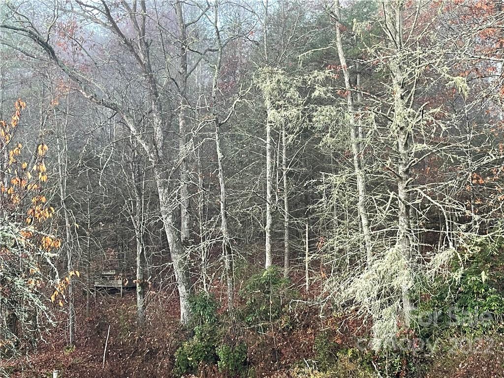 Lot 43 Kimiko Lane Balsam Grove NC 28708