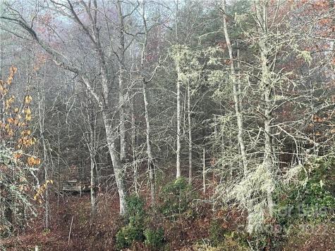 Lot 43 Kimiko Lane Balsam Grove NC 28708