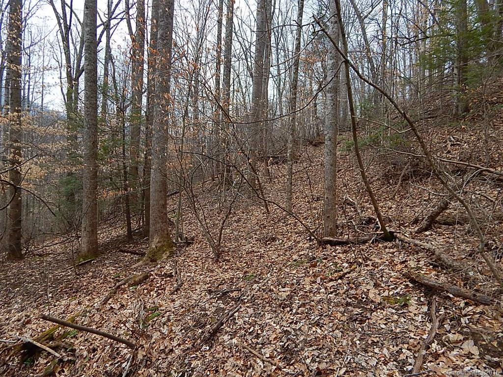 38 Mcdaris Cove Road Weaverville NC 28787