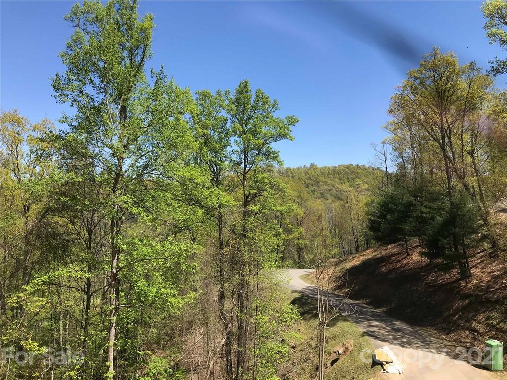 45 Herron View Lane Weaverville NC 28787
