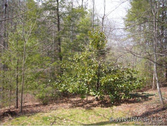 604 Turkey Creek Terrace Leicester NC 28748
