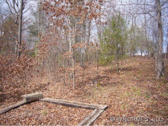 604 Turkey Creek Terrace Leicester NC 28748