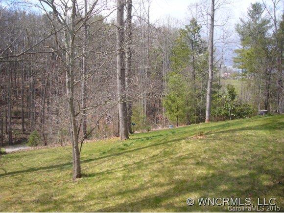 604 Turkey Creek Terrace Leicester NC 28748