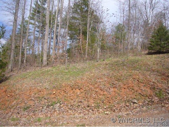 604 Turkey Creek Terrace Leicester NC 28748
