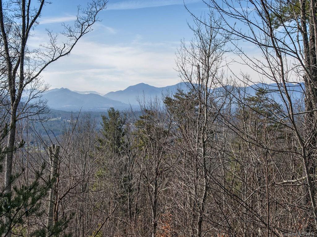 46 High Bluff Drive Weaverville NC 28787