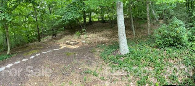 107 Black Hawk Ridge Weaverville NC 28787
