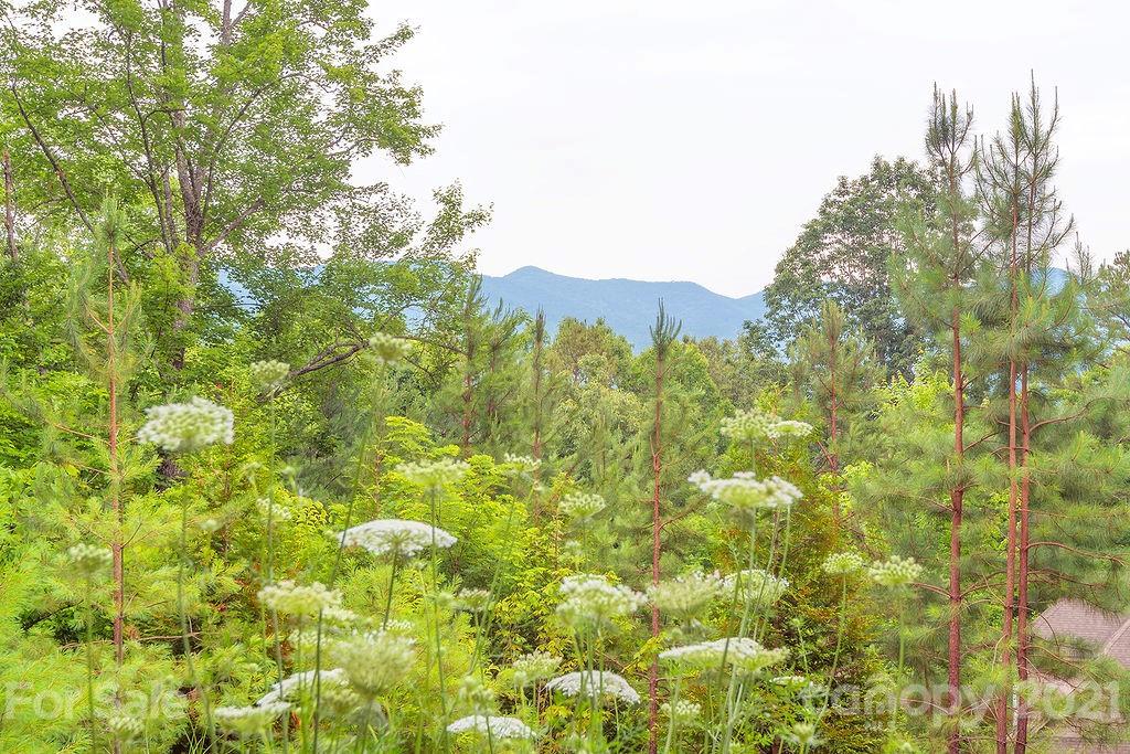 107 Black Hawk Ridge Weaverville NC 28787