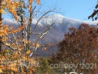 107 Black Hawk Ridge Weaverville NC 28787