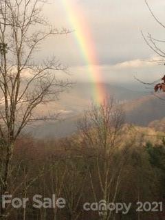 107 Black Hawk Ridge Weaverville NC 28787