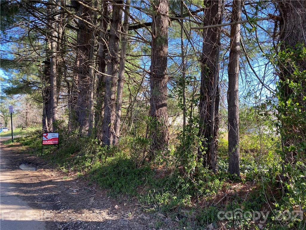 15 Boyd Avenue Asheville NC 28806