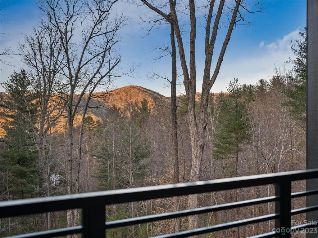 46 Spring Cove Road Asheville NC 28804