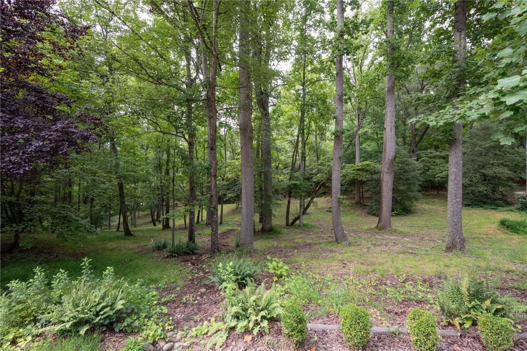 64 Mallonee Drive Candler NC 28715