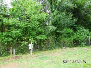 21 Carrion Lane Candler NC 28715