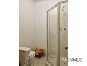21 Carrion Lane Candler NC 28715