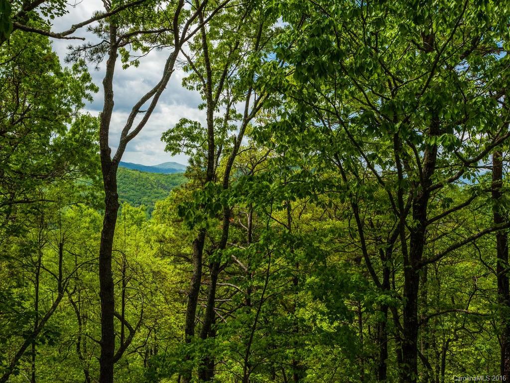 157 Spring Mountain Road Fairview NC 28730